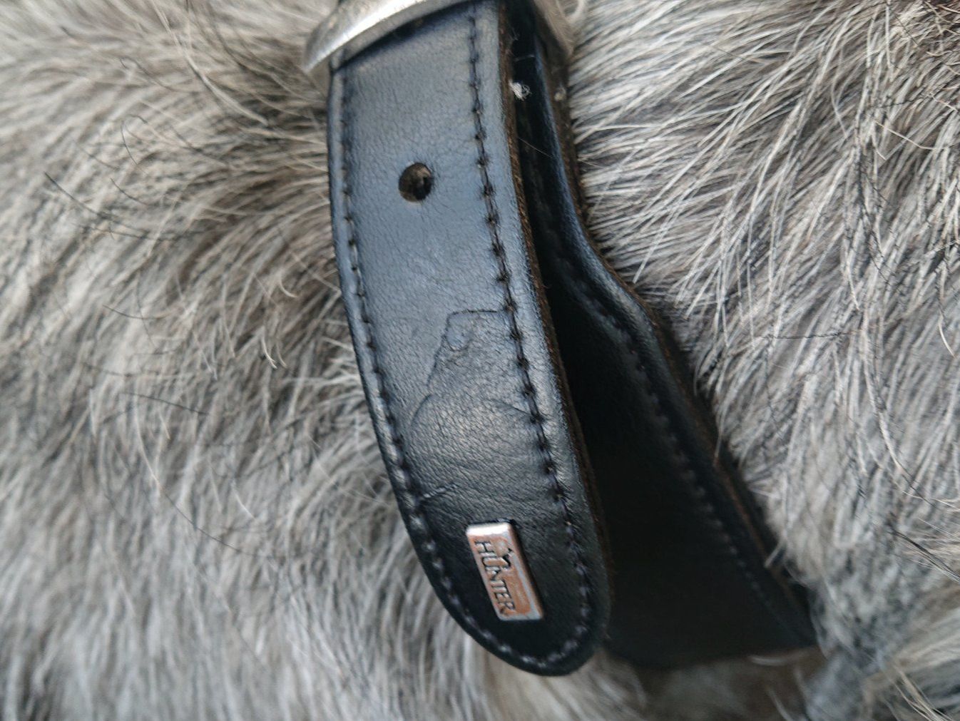 Leine & Halsband: Gut erhaltenes HUNTER Leder-Halsband – Gebraucht aus Huttwil von jusch2 5