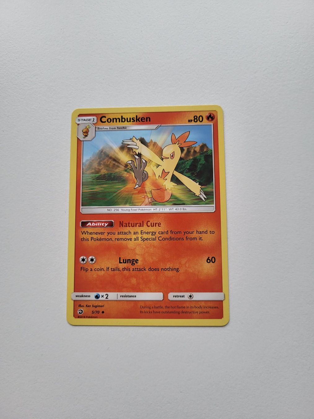Pokémon Carte collezionabili: Combusken (Dragon Majesty 5/70) – Usato da Erlenbach ZH venduto da ram_mjn5