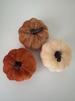 Herbst Deko | Zierkürbisse | NEU!
