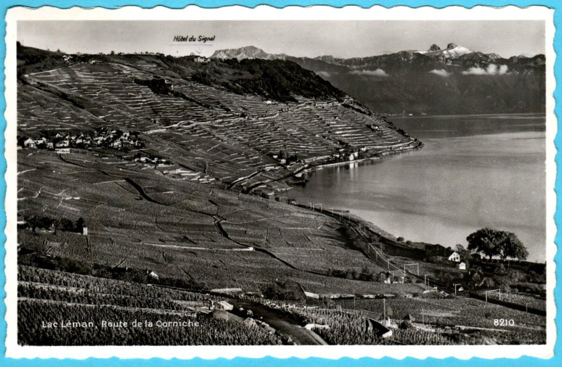 Cartoline postali: Lavaux Genfersee Route de la Corniche 1958 – Usato da Zürich venduto da Sion2006