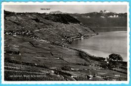 Lavaux Genfersee Route de la Corniche 1958 Lac Léman