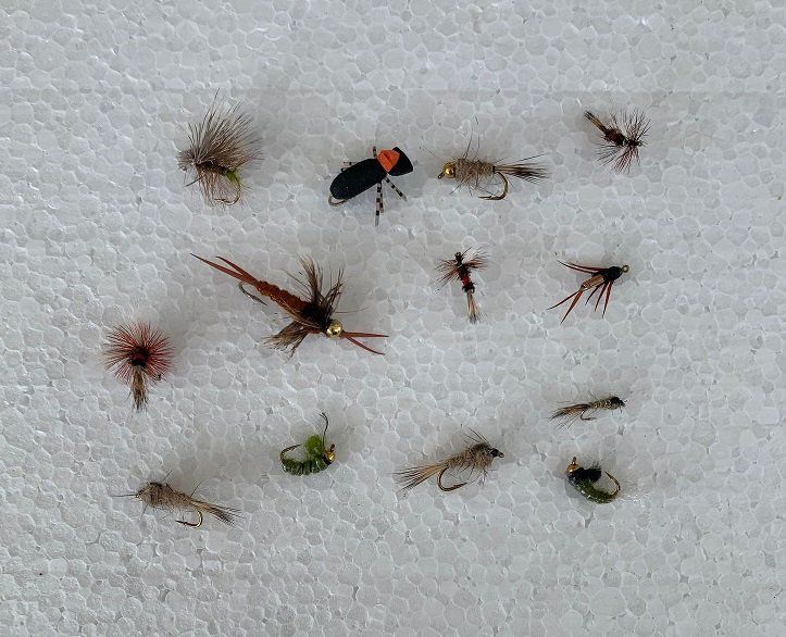 Esche: 13 Stück verschidne Fliege und Nymphen – Nuovo e nell'imballaggio originale da Kehrsatz venduto da ba-ch