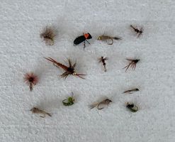 13 Stück verschidne Fliege und Nymphen