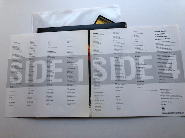 Dischi in vinile: Soundgarden – Usato da Aarwangen venduto da Jukebox3 6