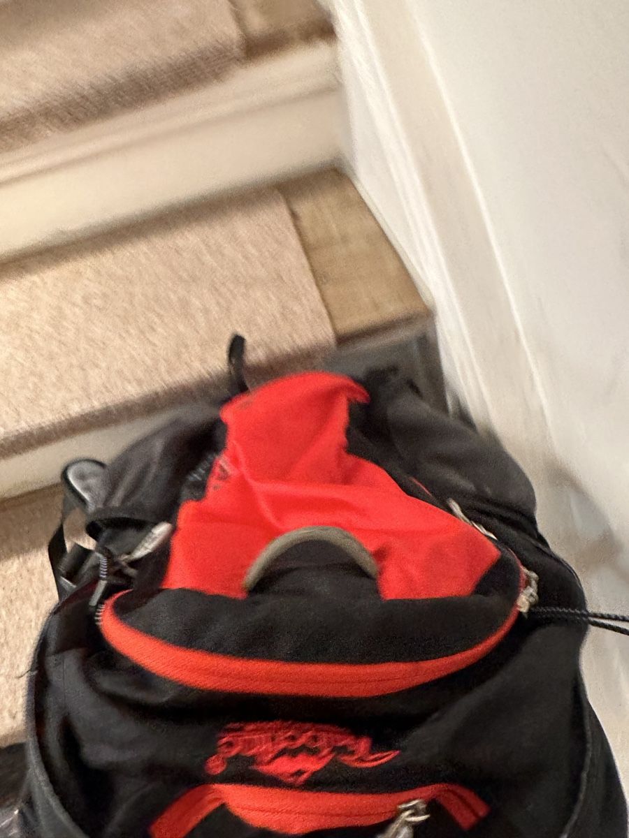 Sacs à dos: Backpack Shine 25 great condition – D'occasion à Zürich par OldtownShop 2