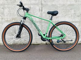 29 Zoll Mountainbike 21-Gang Shimano Parts MATT-Grün NEU