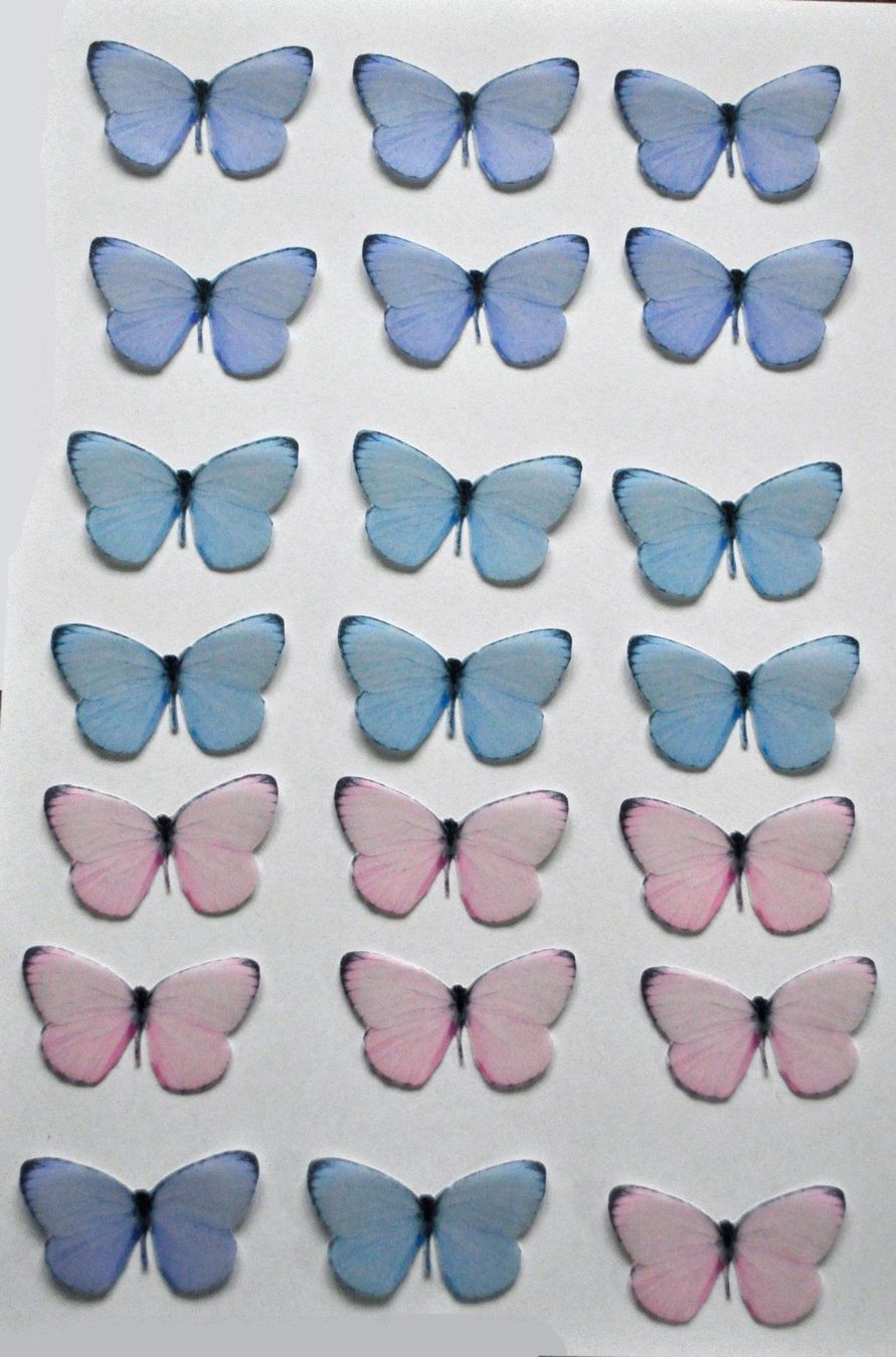 Tutte le decorazioni: Essbare Schmetterlinge, Tortendeko, Cupcake usw – Nuovo e nell'imballaggio originale da Dagmersellen venduto da mar_h5rk 1