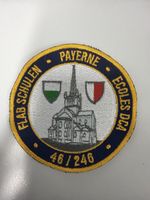 Badge Flab Schulen 46/246 (ohne Klett)