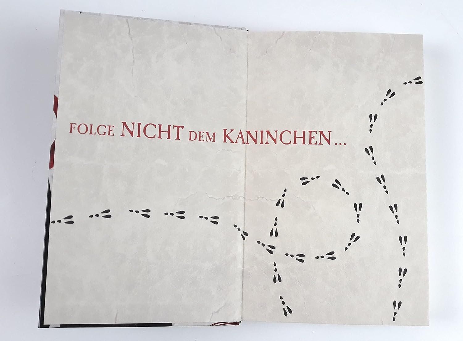 Libri: Die Chroniken von Alice – Usato da Neuchâtel venduto da Dualseele 1