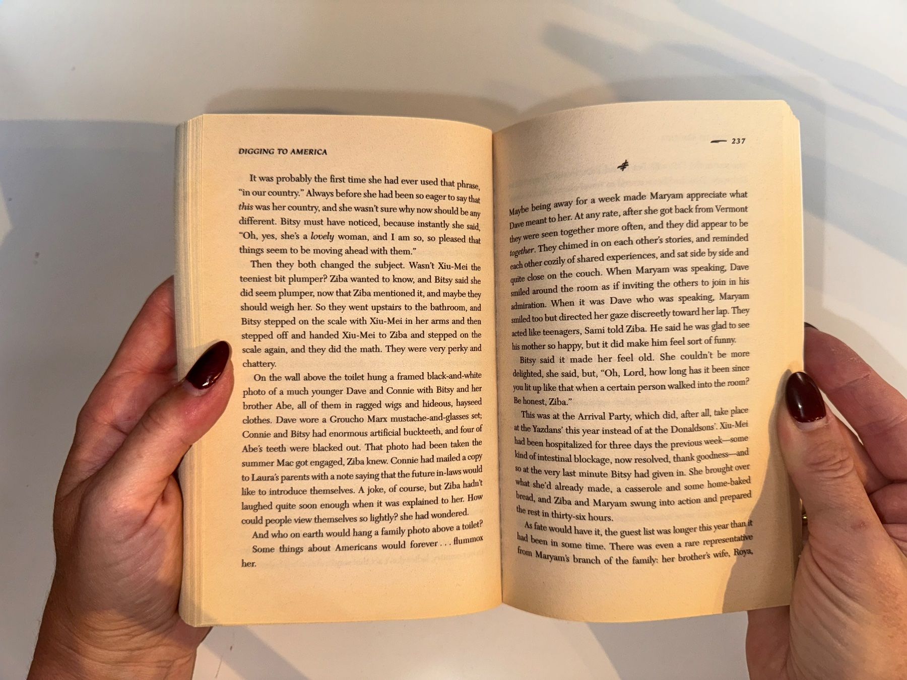 Bücher: NOVEL: Ann Tyler, Digging to America – Gebraucht aus Grosswangen von English_books 7