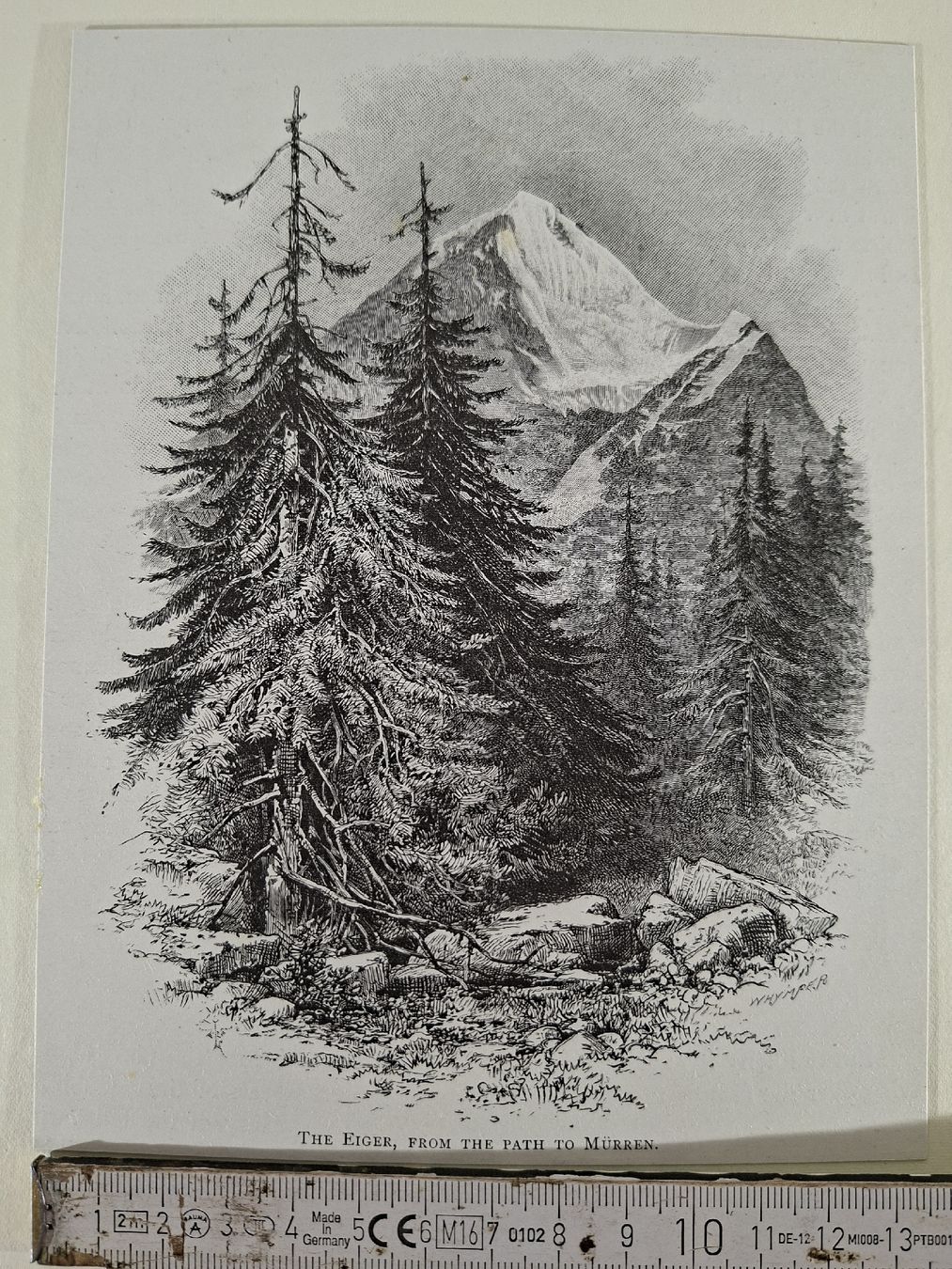 Incisioni: Lot 61, 10 Stiche  – Usato da Grindelwald venduto da carro5 6