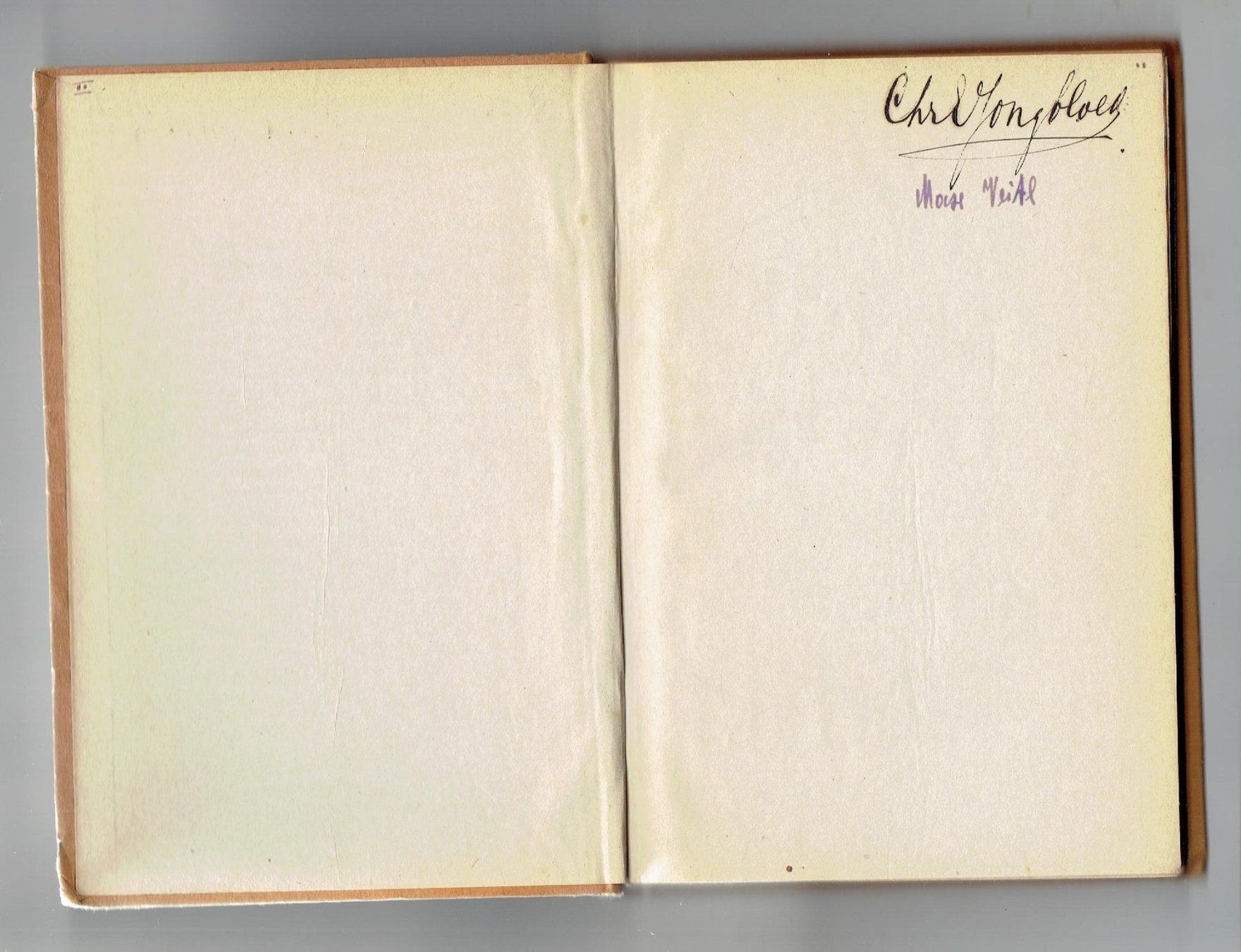 Bücher: Wandlungen  Friedrich Huch – Gebraucht aus Flims - Dorf von Stagediver 1