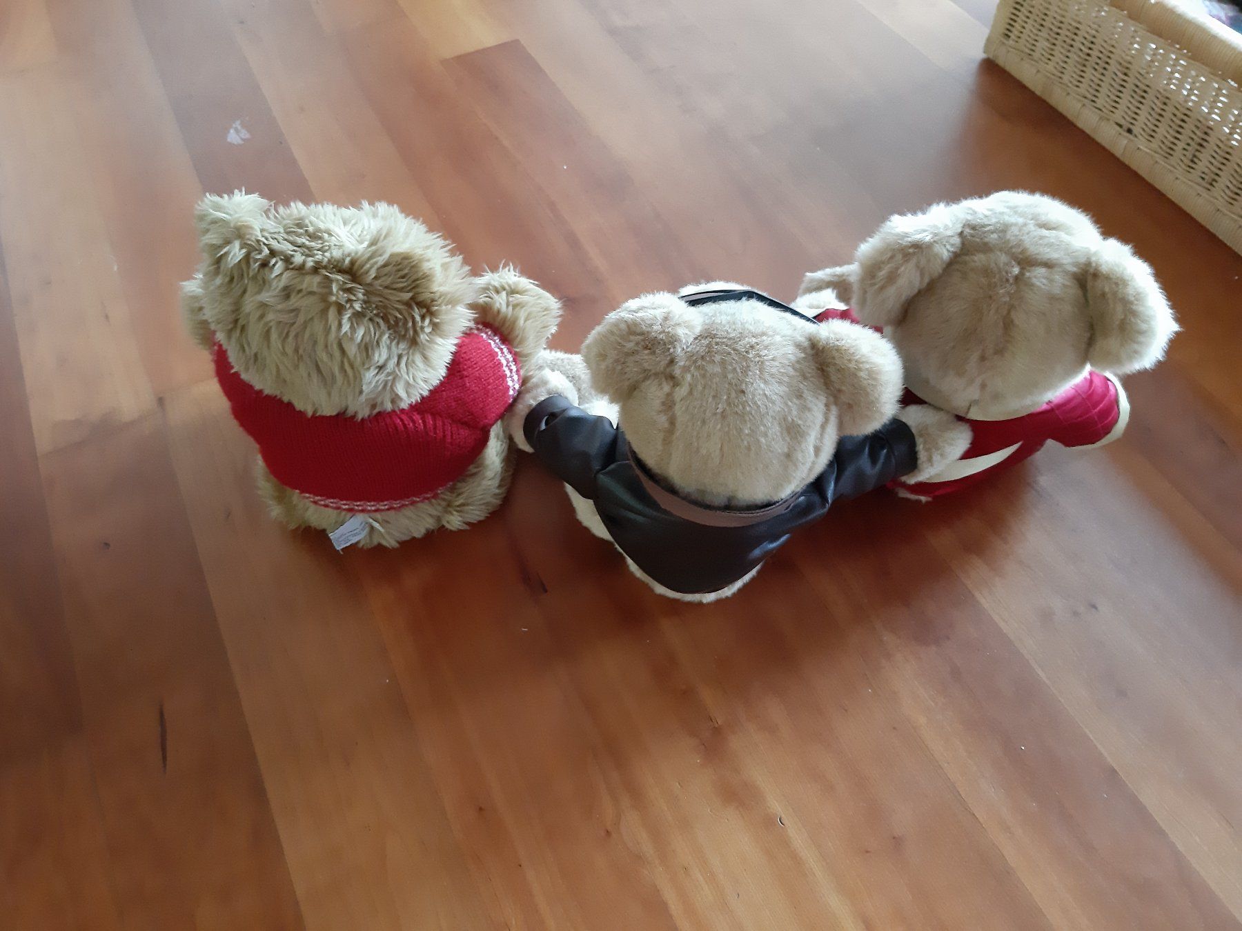 Bambole: AMARIS Teddybären – Nuovo (secondo la descrizione) da Altstätten SG venduto da Tschuppben 2