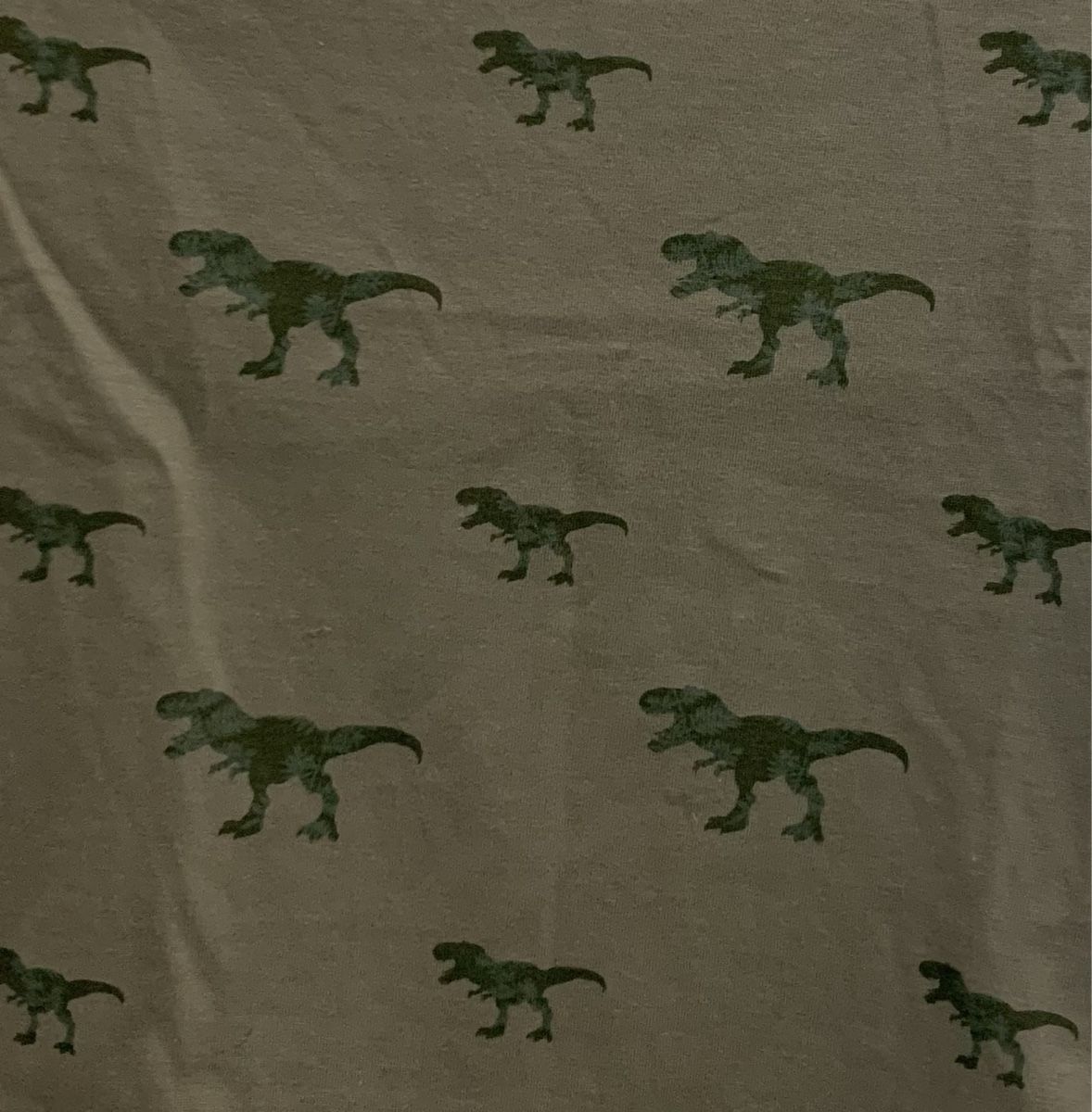 C&A Camicie, T-shirt & Polo: T-Shirt Dino-Motive, Gr. 110 – Usato da Buus venduto da 2013dp 1