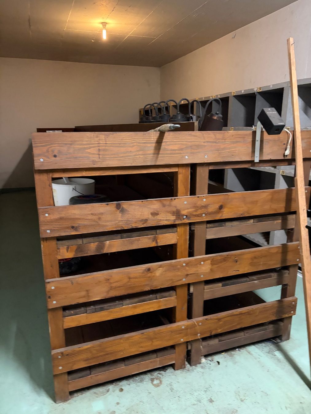Scaffali: Holzregal – Usato da Rothrist venduto da Teddy9915 2