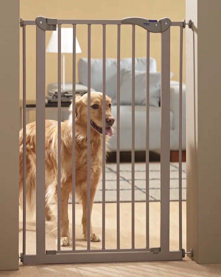 Käfige, Transport & Sicherheit: Barrière pour chien  – Gebraucht aus Lucens von vin_bp97 1
