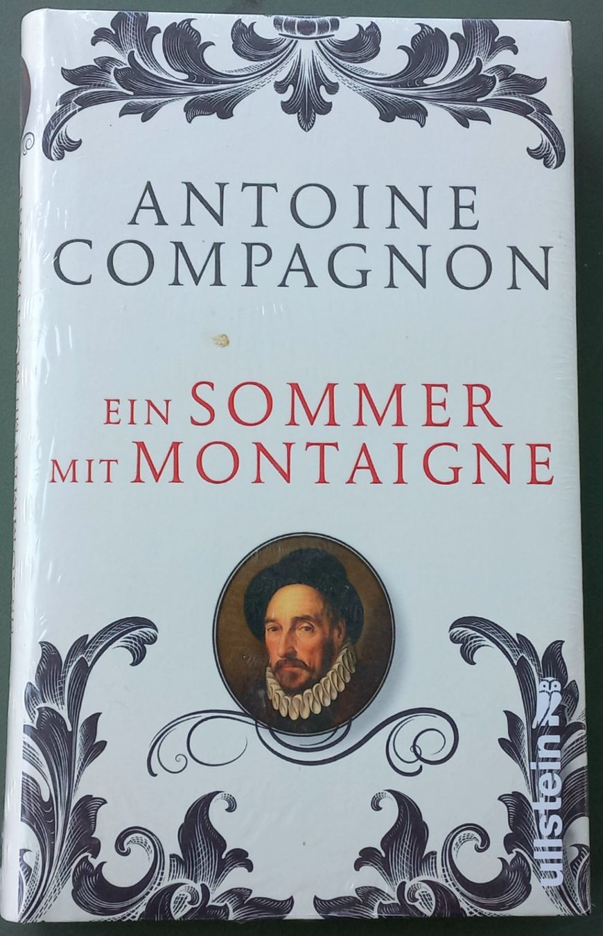 Libri: Anton Compagngon - Ein Sommer mit Montaingne – Nuovo e nell'imballaggio originale da Niederuzwil venduto da lubimaja