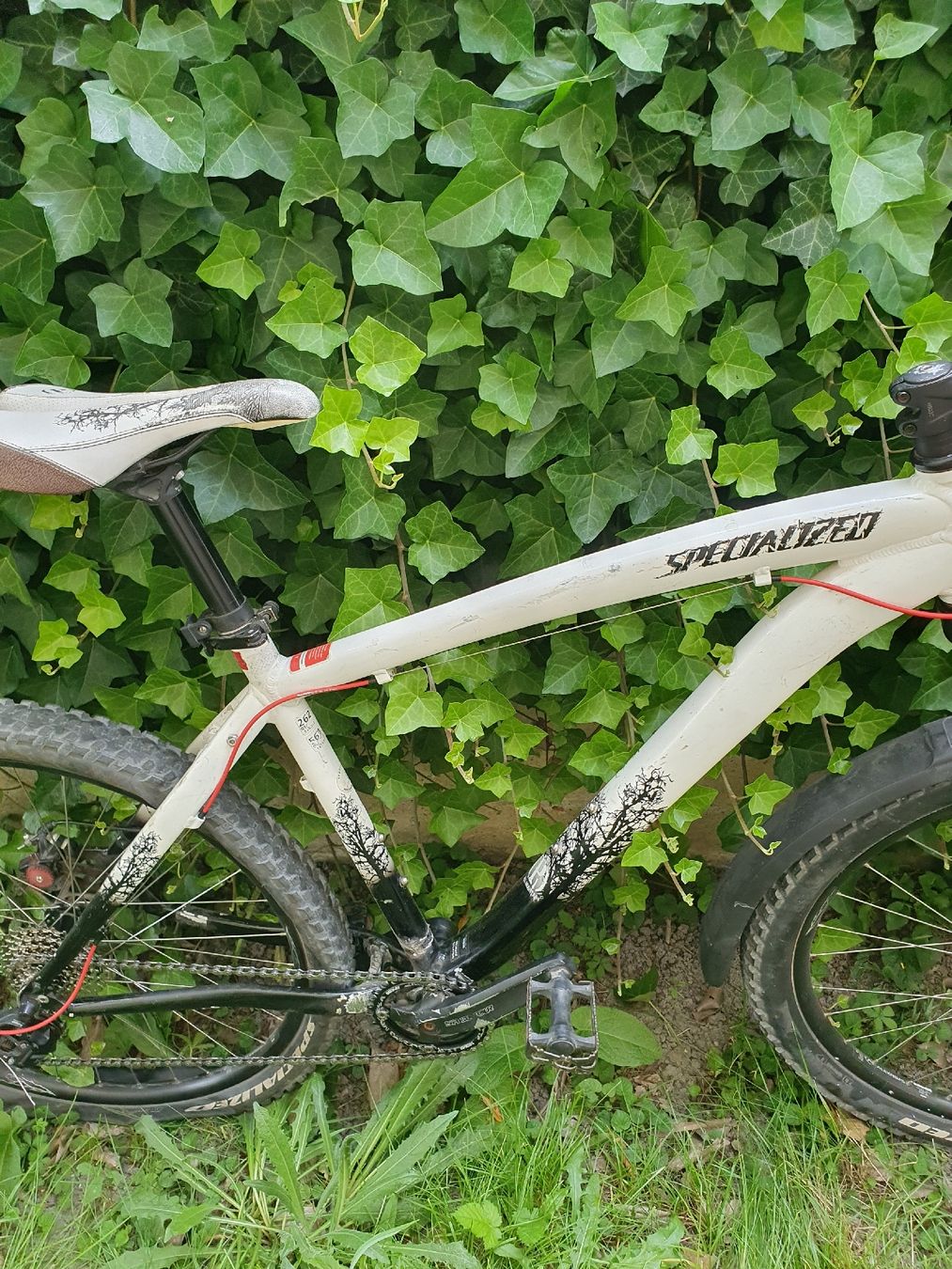 Specialized Biciclette: Specialized Hardtail MTB mit neuen Teilen – Difettoso da Glis venduto da Shortbread_ 1