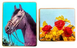 Biscuits Doria Genève boîte 2x cheval Pferd Mimosa Blechdose