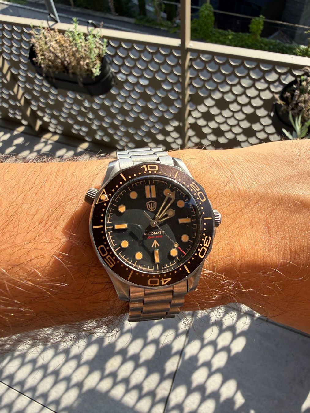 Orologi: Watchdives WD007 39mm – Usato da Hergiswil NW venduto da yvso_77