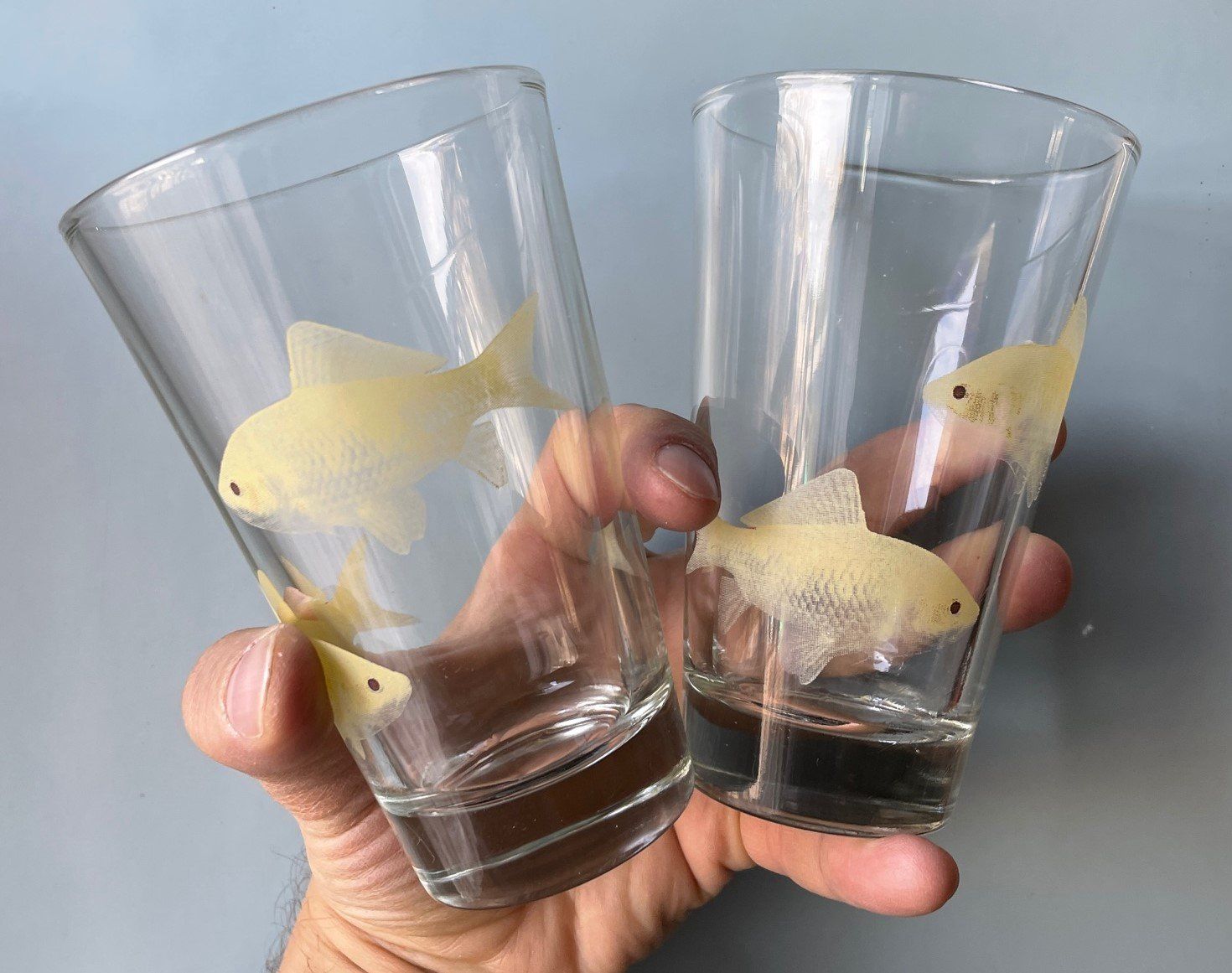 Verres: 2er-Set Fische-Gläser – D'occasion à Buchs SG par Handyman77 2
