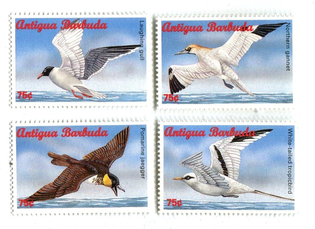 Tutti i francobolli: Briefmarken "Möwen". Antigua und Barbuda – Nuovo e nell'imballaggio originale da Basel venduto da Butsch5