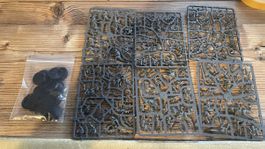 Warhammer 40k Tyraniden 20 Hormaganten