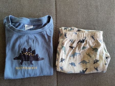 Pyjama Dino lang 110/116 Baumwolle