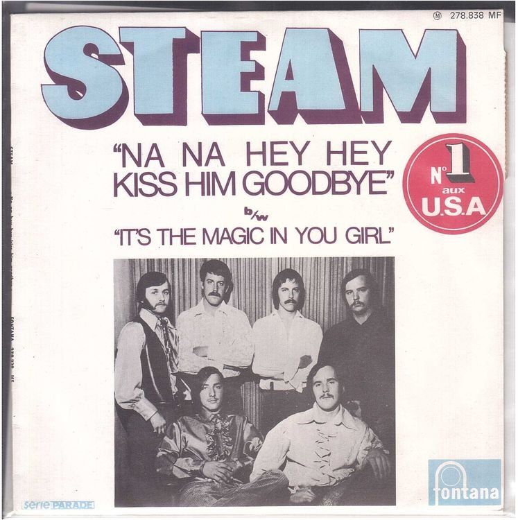 Dischi in vinile: Steam  --  Na na hey hey  Single7 – Usato da Rheinau venduto da asteng