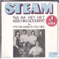 Steam  --  Na na hey hey  Single7