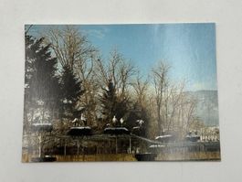 Alte Ansichtskarte, Postkarte