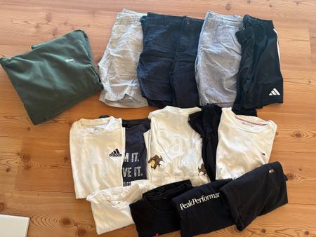 T-Shirts and Shorts Men's Size 38/S Hilfiger Zara