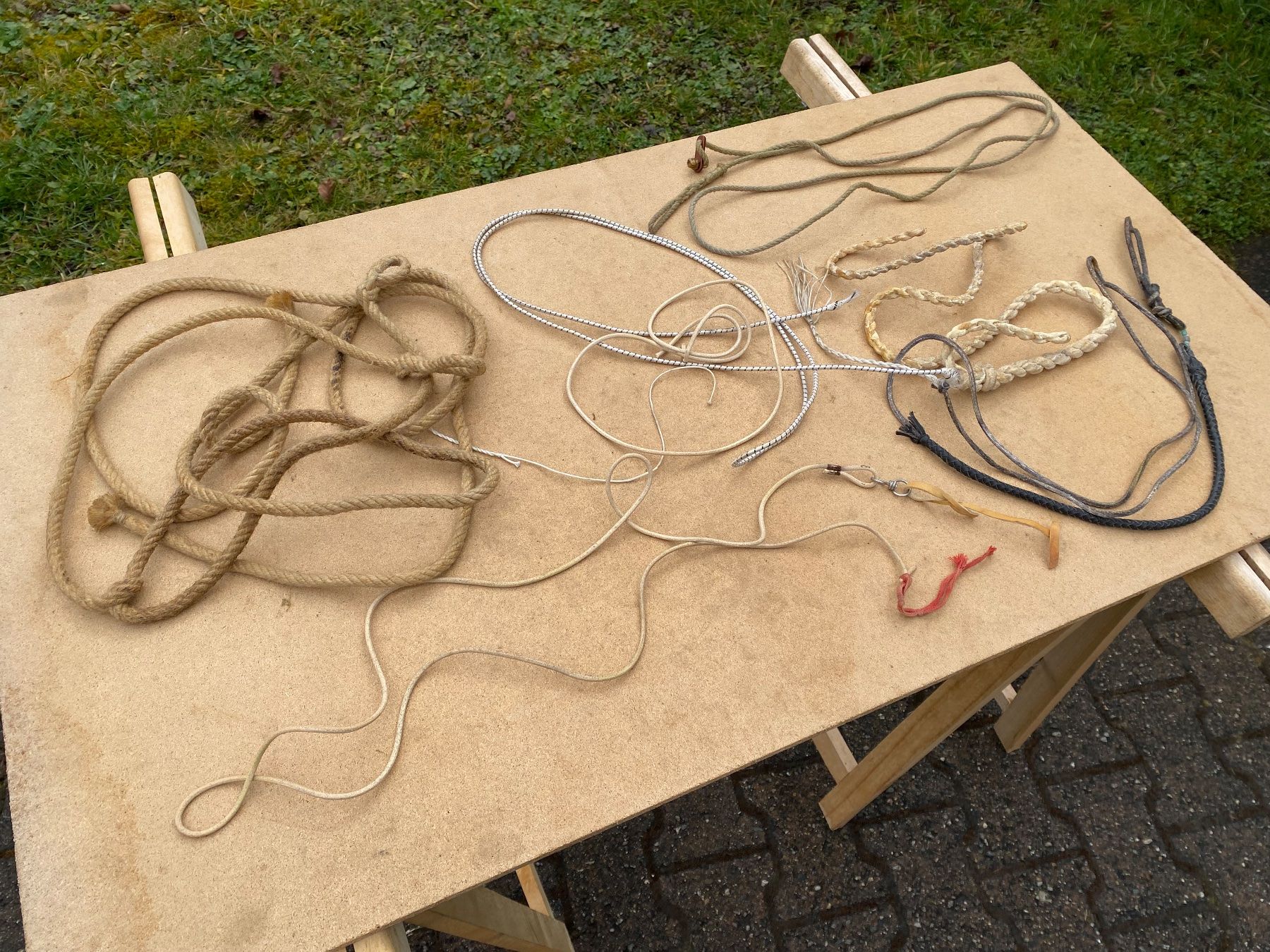 Campanacci mucche: schöne Geisselzwicke – Usato da Feldbach venduto da Fea1 4