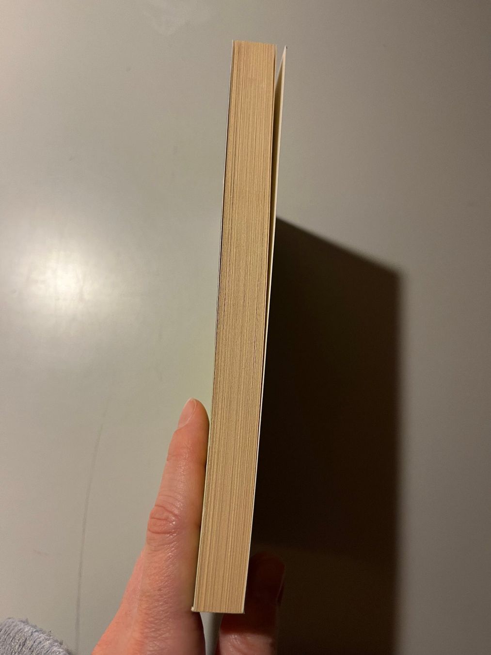 Libri: Thich Nhat Hanh: Ich pflanze ein Lächeln – Usato da glattfelden venduto da kimiaxel 2