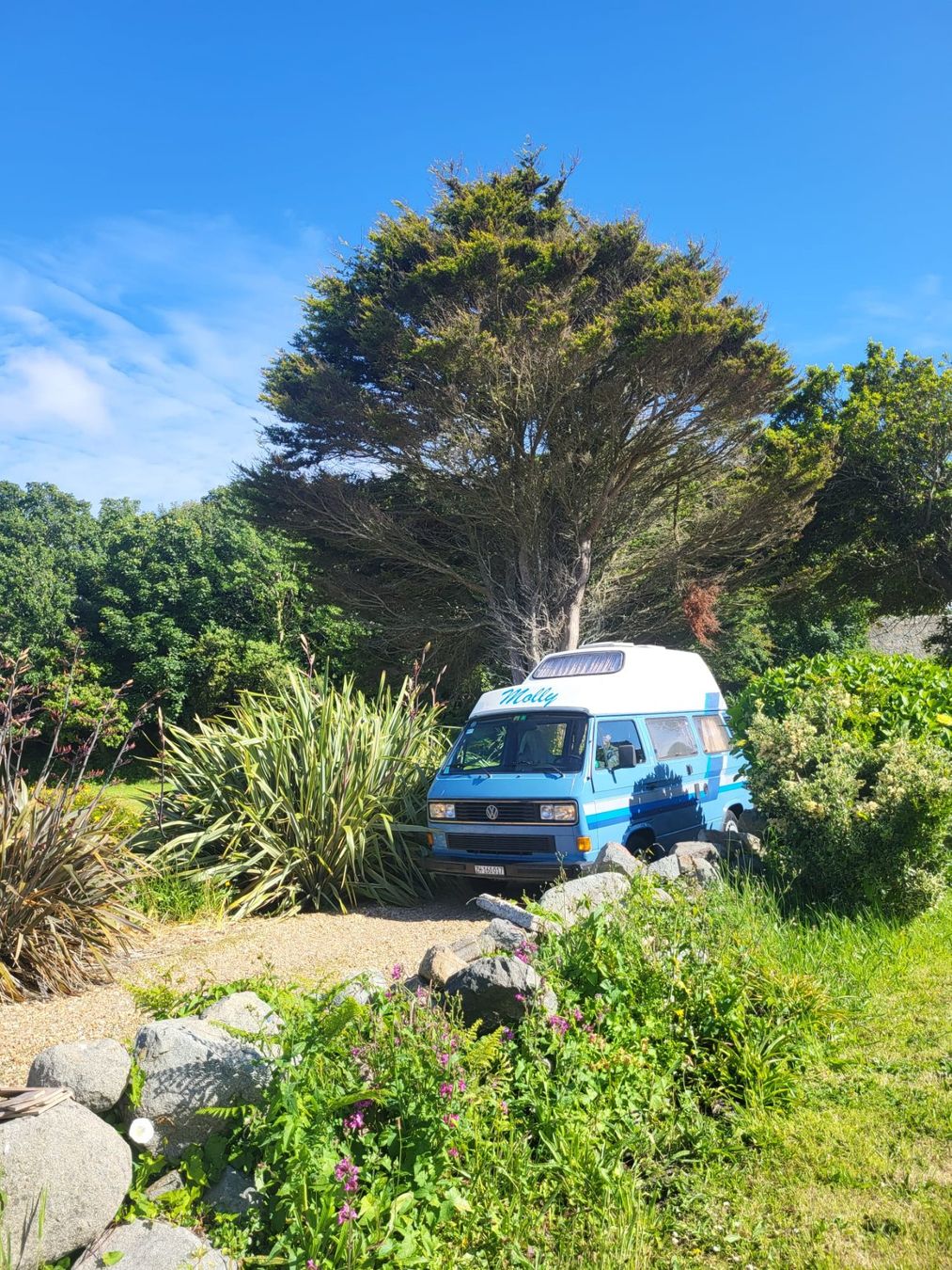 VW Véhicules de camping: VW T3 Bus – D'occasion à Oberhasli par ks.k.kaenel 3