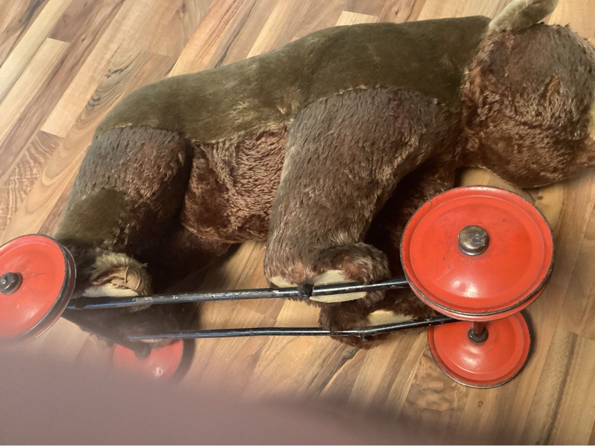 Steiff Spielzeuge: ALTER STEIFF TEDDY AUF RÄDER – Gebraucht aus Münchenstein von NoSu98 4