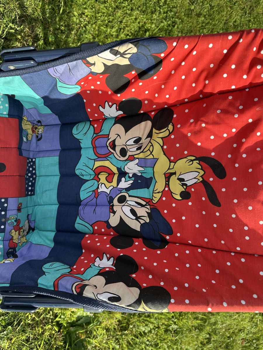 Kinderwagen: Disney Buggy  gute Zustand – Gebraucht aus Uster von bek_v2ct 2