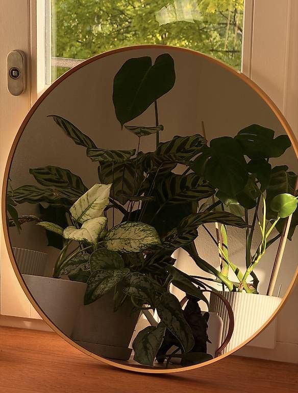 Specchi: Ikea Lindbyn Spiegel 50cm – Usato da Arlesheim venduto da schoop.