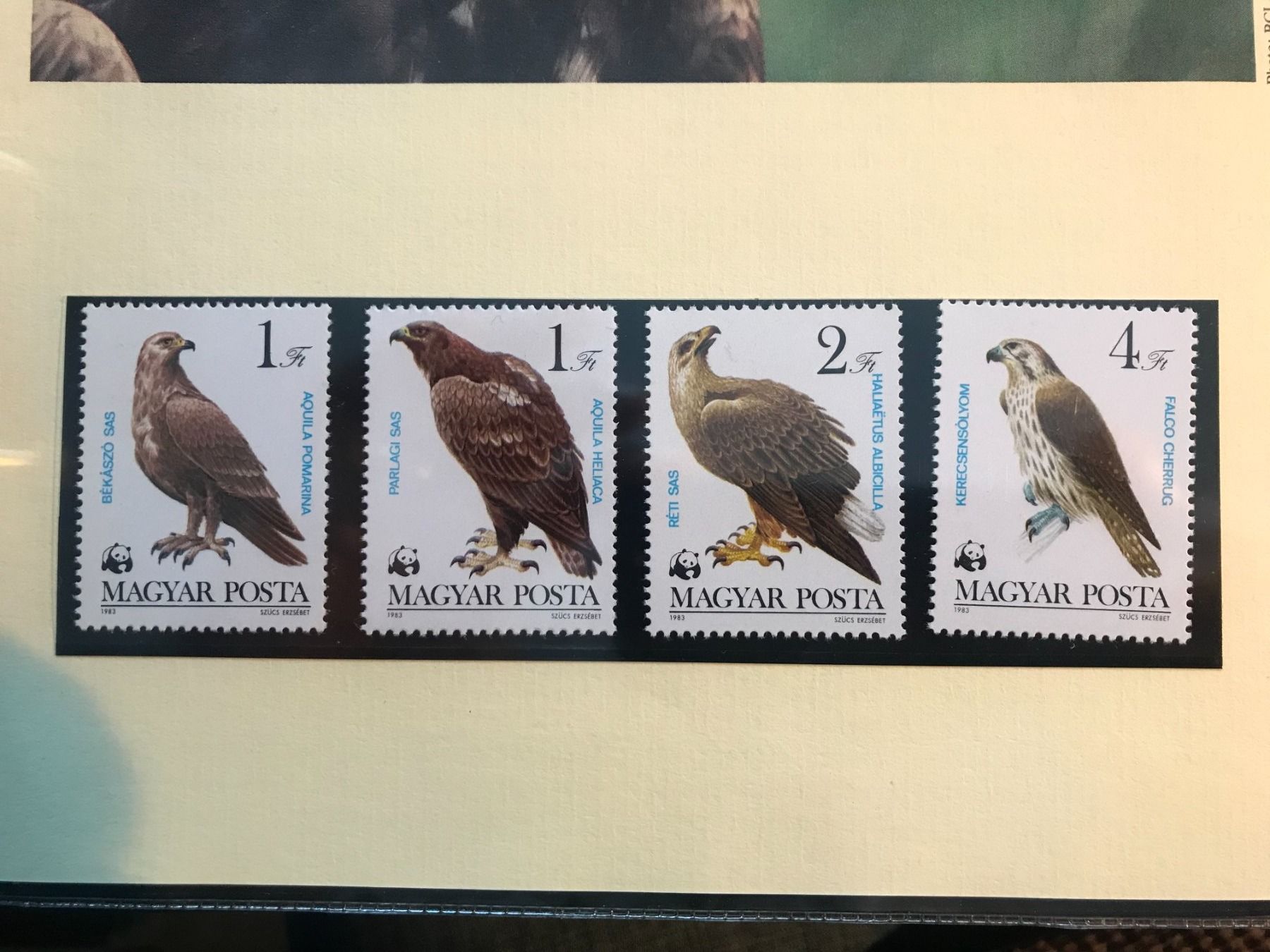 Tutti i francobolli: WWF Ungarn 1983 Greifvögel (1.Teil) postfrisch – Nuovo (secondo la descrizione) da Winterthur venduto da schnueps