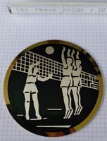 Plakette Emaille Volleyball-Motiv aus Messing 10cm