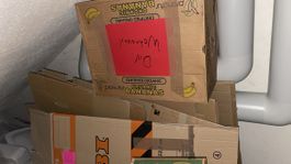 20 Umzugskartons und 3 Bananenboxen 