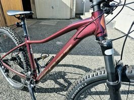 SCOTT Contessa Active 20 Damen-MTB  Grösse S  Top Zustand 