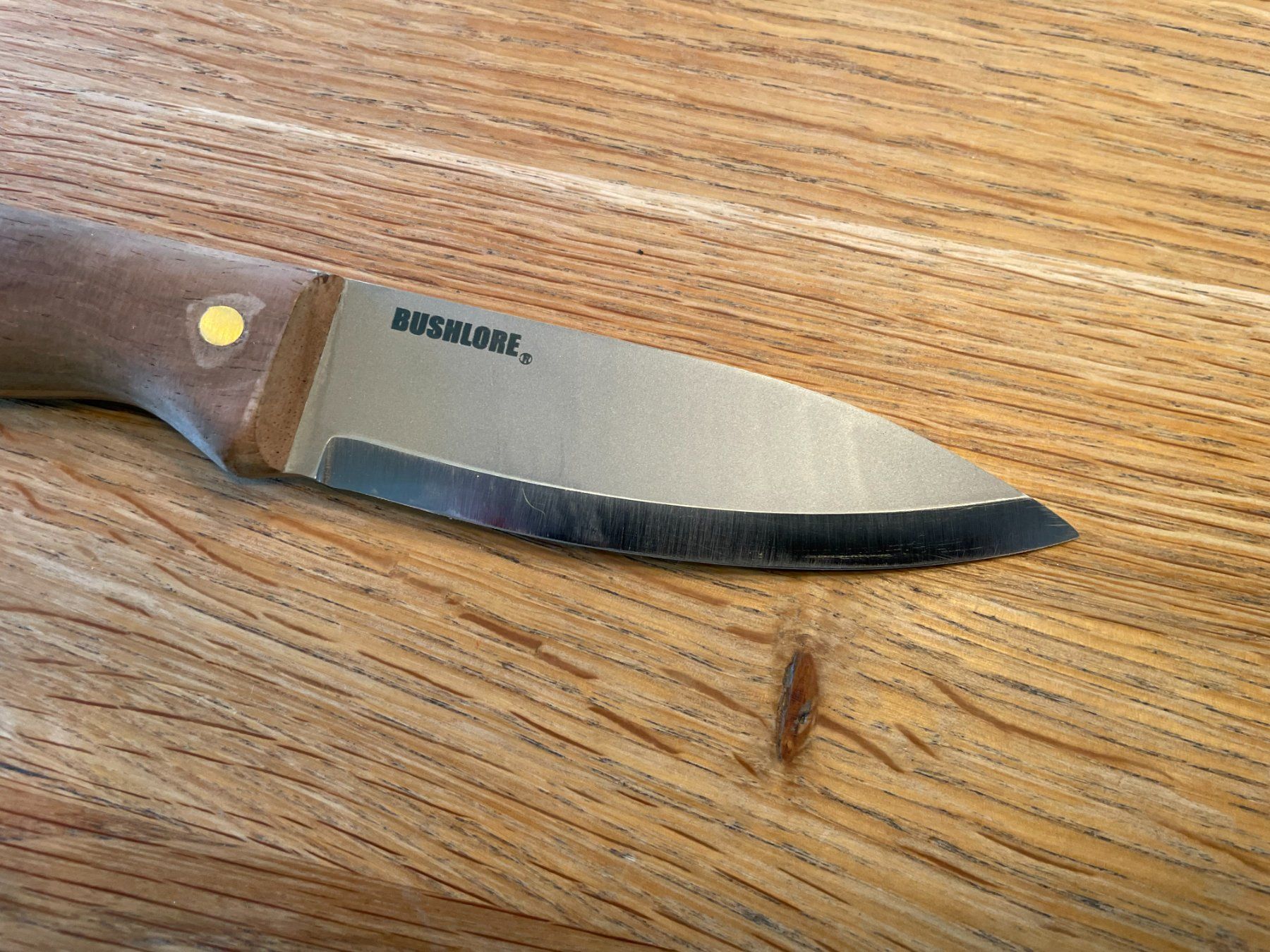 Accessori: Condor Bushlore 232-4.3HC Bushcraftmesser – Usato da Luzern venduto da alpenkai 2