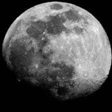Profile image of pas_r9n6