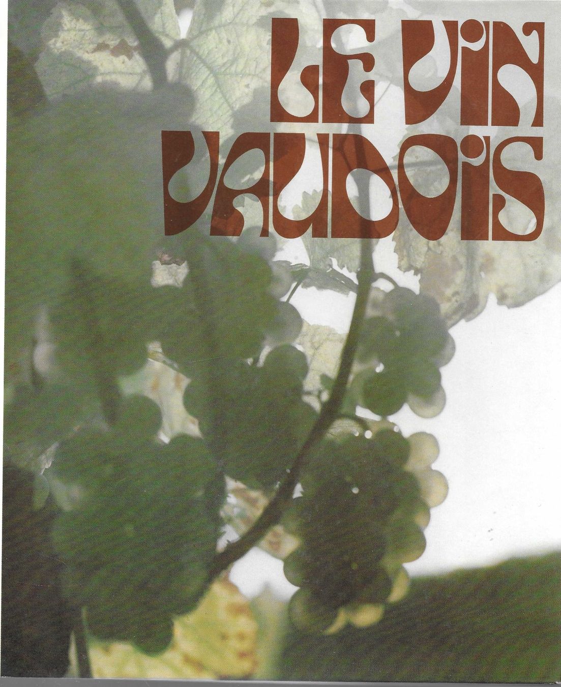 Libri: LE VIN VAUDOIS – Usato da Bex venduto da Giorgiob