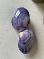 Muschel lila mit Streifen Dekoration 2 Stk. ca. 8cm