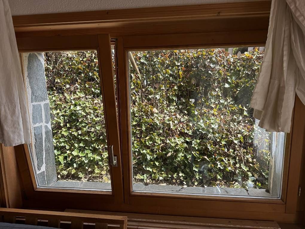 Fenster: Fenêtre en bois double vitrage – Gebraucht aus Morgins von bra_5qqy 2