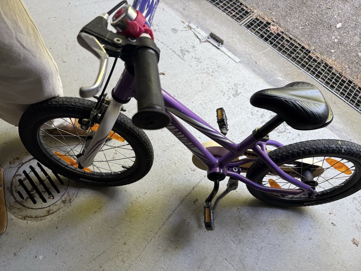 Specialized Biciclette: Specialized bike kids – Usato da Zürich venduto da StudioQuirine 1