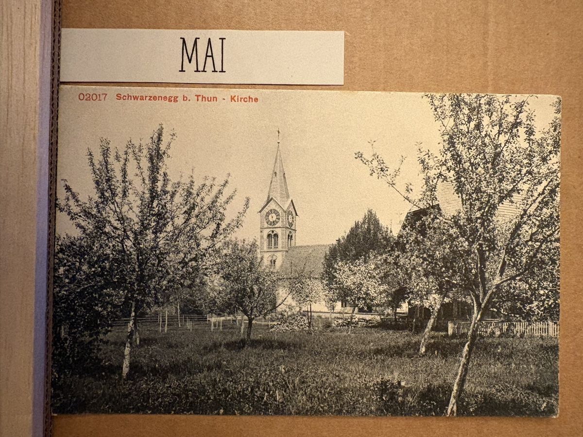 Cartoline postali: AK von Schwarzenegg – Usato da Rümlang venduto da Kartenpost1