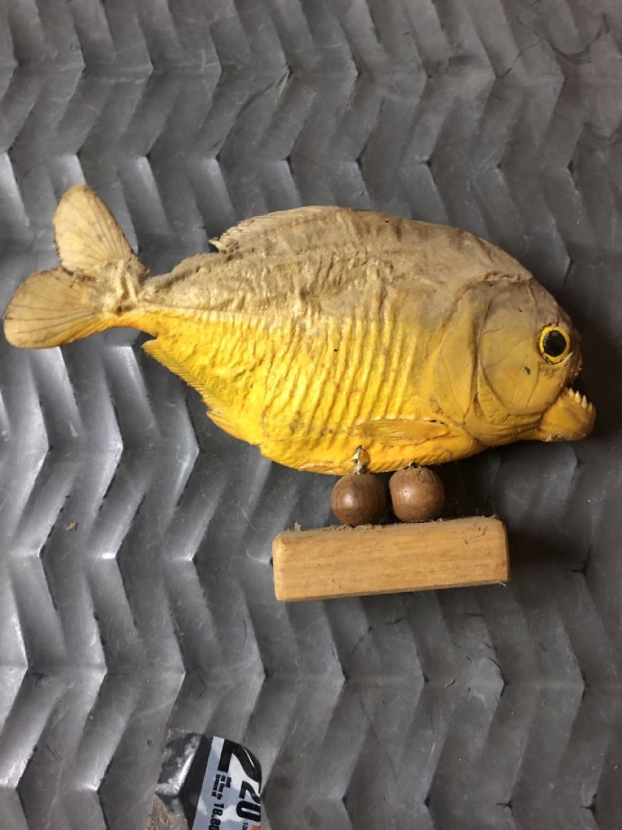 Welt der Tiere: Ausgestopfter Piranha – Gebraucht aus Mühlethal von nyffeler2815 1